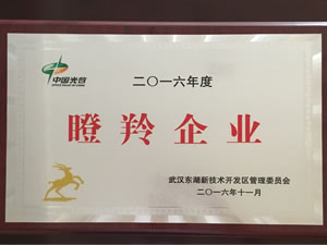 武汉金沙集团888881光电入选光谷2016年“瞪羚企业”